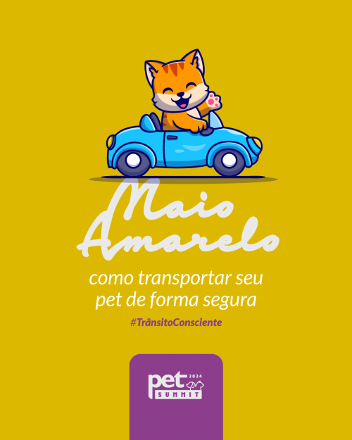 Maio Amarelo: Cuidado no Trânsito também se estende aos nossos Pets!