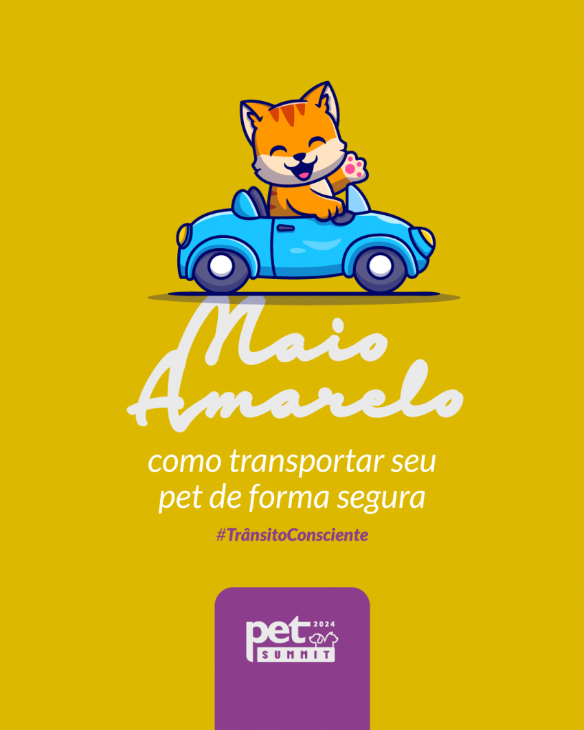 Maio Amarelo: Cuidado no Tr&acirc;nsito tamb&eacute;m se estende aos nossos Pets!